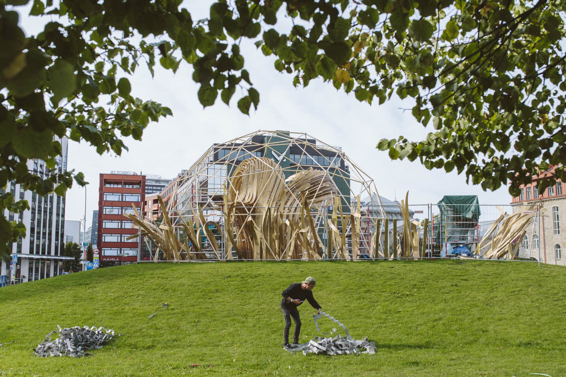 Tallinn Architecture Biennale installation 'Steampunk' made of steam-bent  timber - Thermory