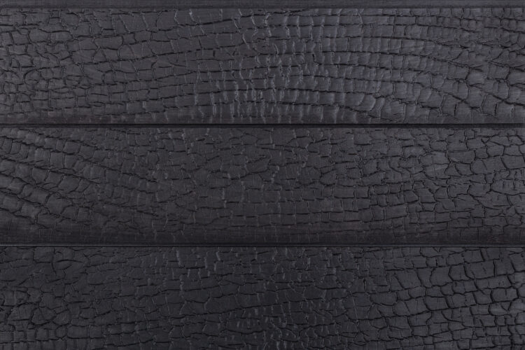 charred wood cladding