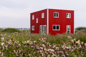 Vivid painted thermowood cladding