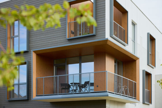 Thermory Vivid Dark Silvered cladding, Luccaranna residential development