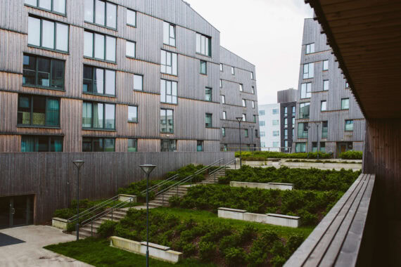 Naturally weathered thermo-pine cladding
