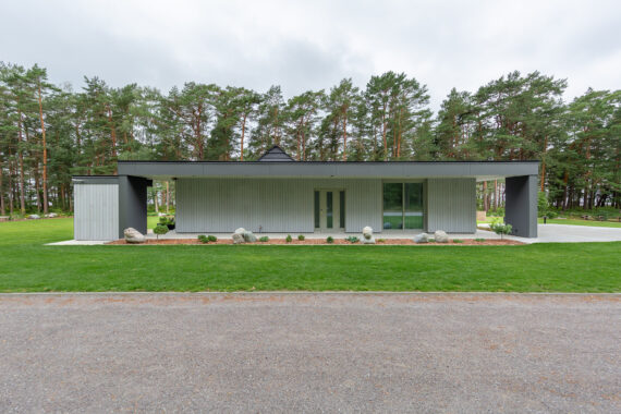 Vivid Silvered painted cladding
