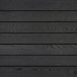 Vivid Oiled Black