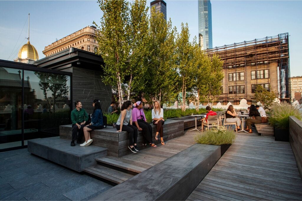 Rooftop garden in NYC