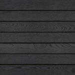 Vivid Oiled Black