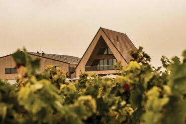 Außenansicht des Ellermann-Spiegel Weinguts mit Thermory Benchmark Thermo-Kiefer C34 Mix & Match Fassadenverkleidung, eingebettet in die Weinlandschaft.