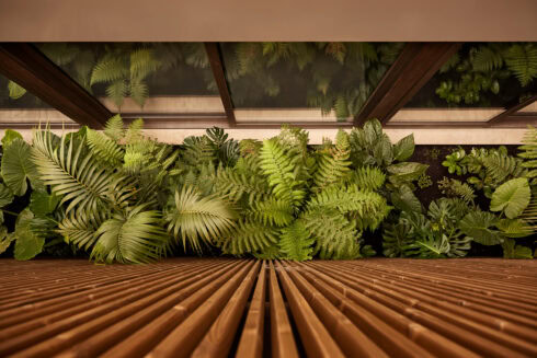 Close-up of vertical Thermory thermo-pine battens alongside lush green plants and glass façade reflections.
